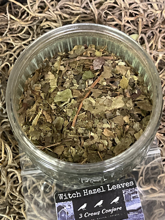 Witch Hazel Leaves